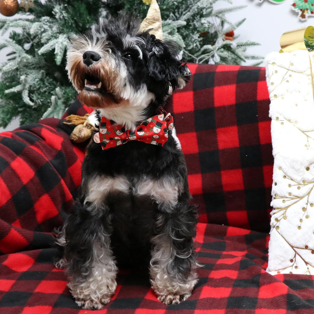 Christmas Dog Collar with Bow Tie, Christmas Collar for Puppy Girl Boy Dog or Cat, Bowtie Dogs Collars with Durable Metal Buckle, Cute Pet Collars, M