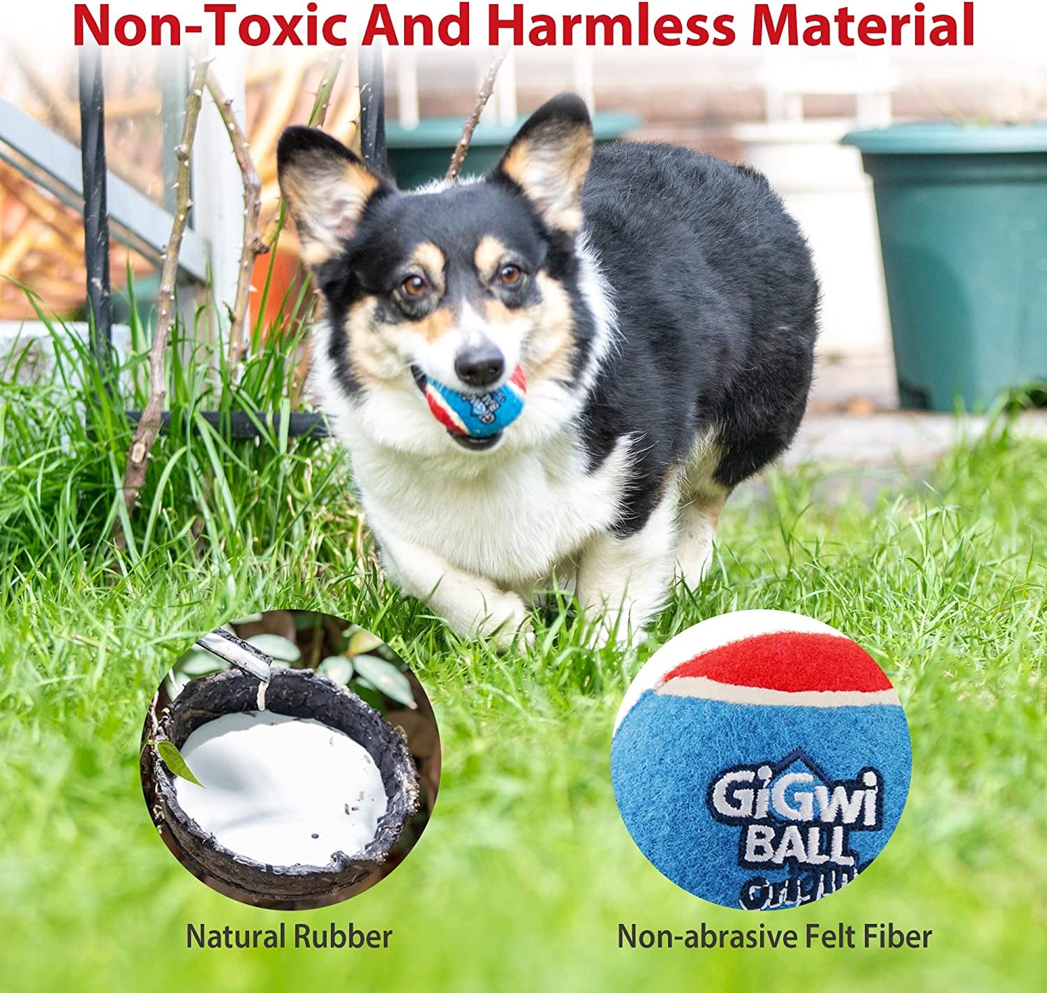 Tennis Balls for Dogs, Squeaky Dog Tennis Balls for Exercise, High Bouncy Pet Ball Bright Colors 2.5 Inches, Interactive Funny Dog Toys for All Breeds of Dogs Indoor & Outdoor Dog Games, 3 Pack