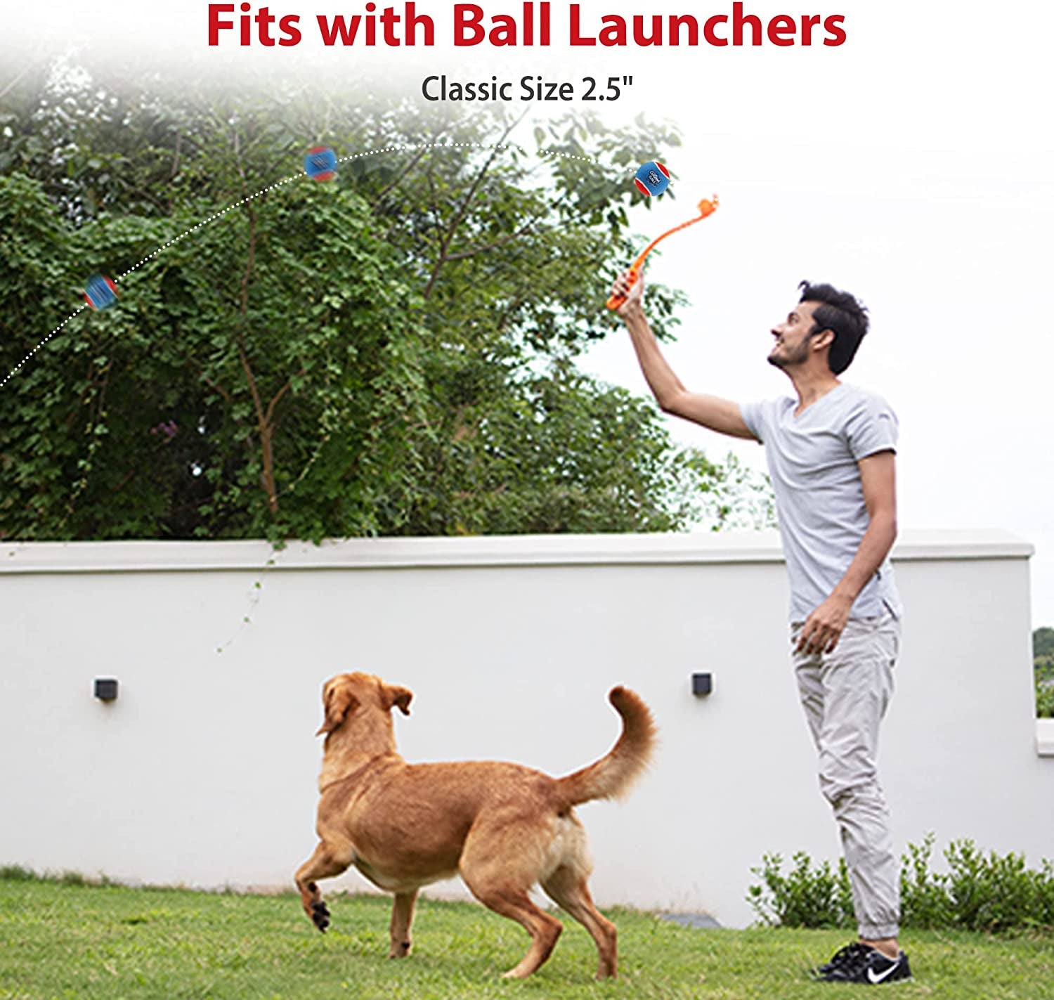 Tennis Balls for Dogs, Squeaky Dog Tennis Balls for Exercise, High Bouncy Pet Ball Bright Colors 2.5 Inches, Interactive Funny Dog Toys for All Breeds of Dogs Indoor & Outdoor Dog Games, 3 Pack