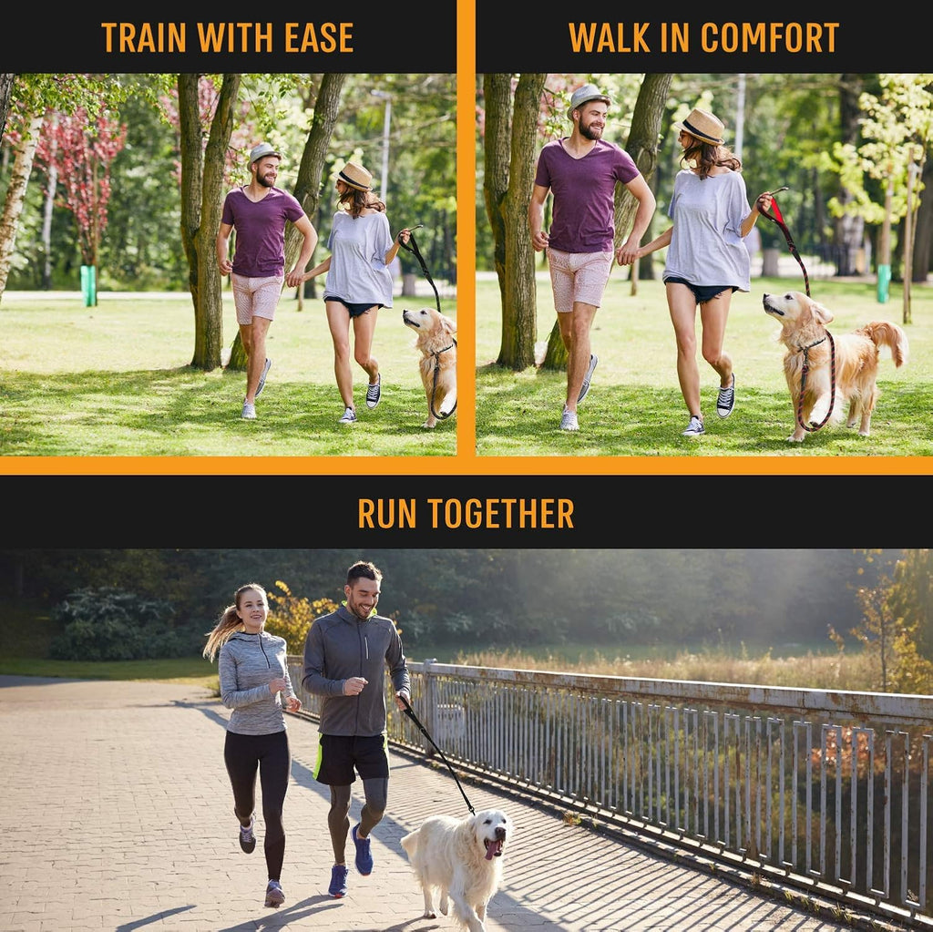 Strong Dog Rope Leash with Soft Comfortable Padded Handle and Highly Reflective Threads, Leash for Small Medium and Large Dogs, Puppy Leash for Training Running and Walking