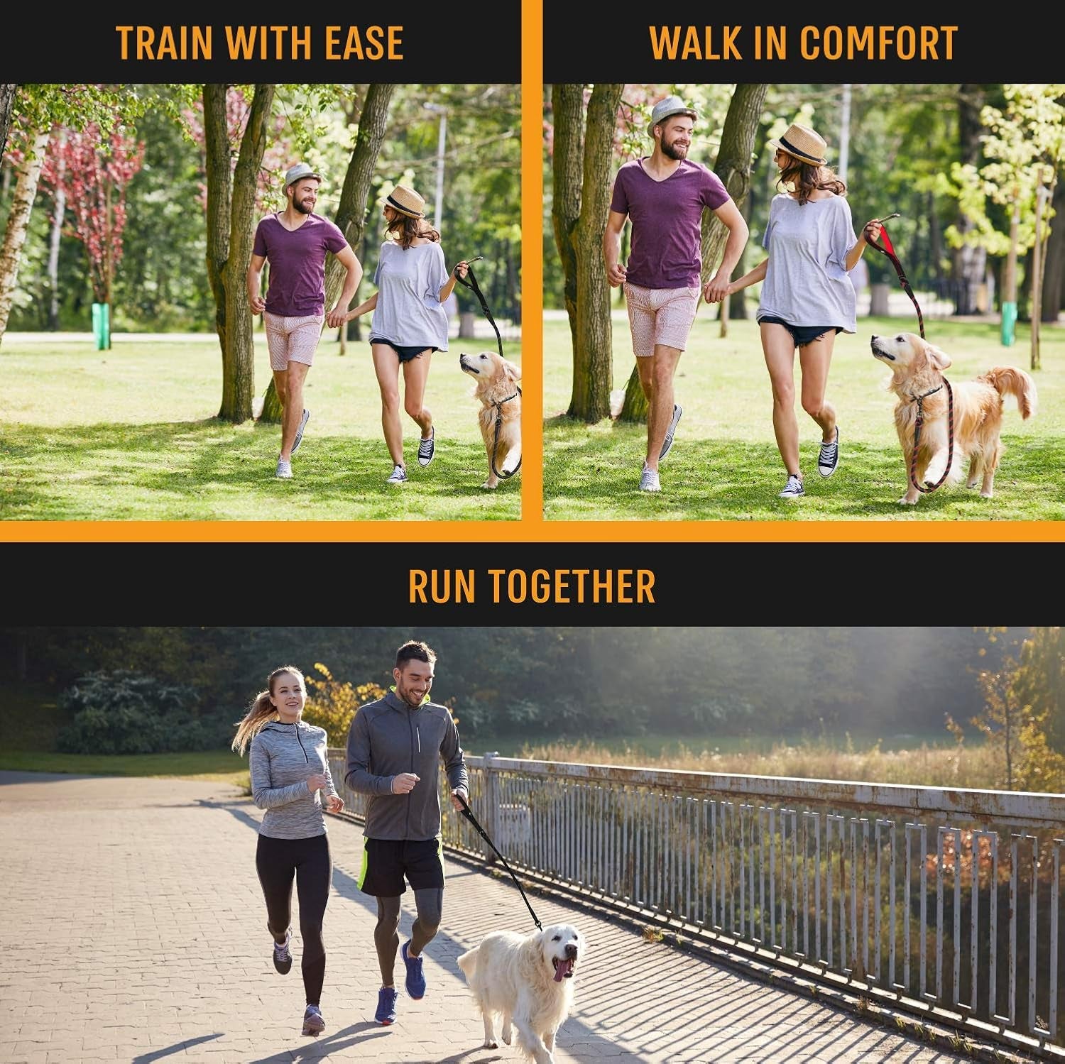 Strong Dog Rope Leash with Soft Comfortable Padded Handle and Highly Reflective Threads, Leash for Small Medium and Large Dogs, Puppy Leash for Training Running and Walking