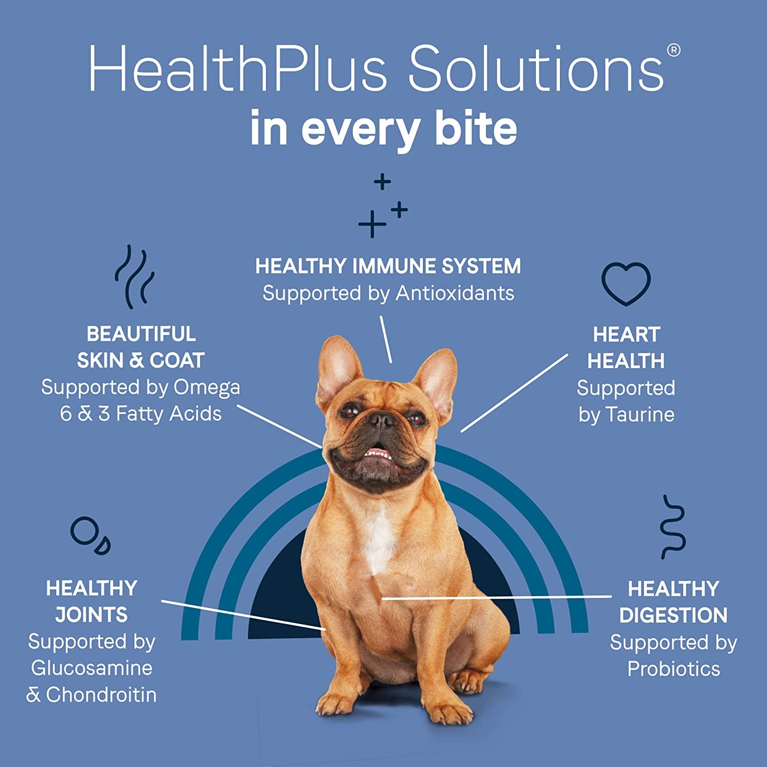 Pure Petite Premium Freeze-Dried Raw Coated Dog Food for Small Breeds, Real Salmon Recipe, 4 Lbs, Grain Free