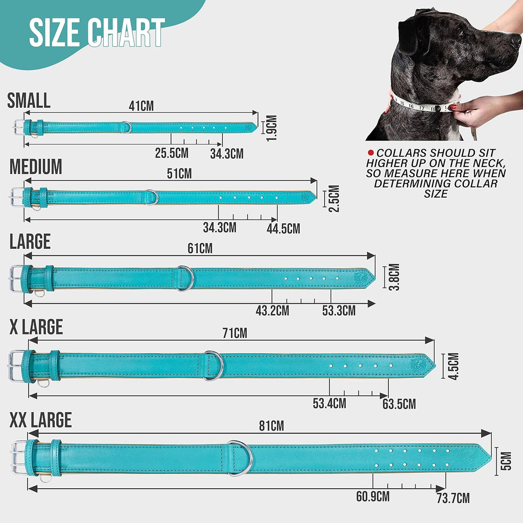 Riparo Dog Collars for Medium Dogs, Genuine Leather Dog Collar, Medium Dog Collar (M: 1" Wide for 13.5”-17.5” Neck, Aqua)
