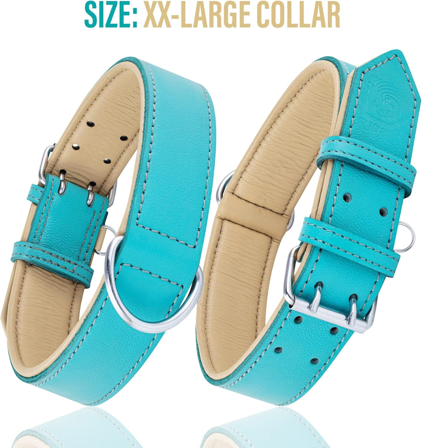 Riparo Dog Collars for Medium Dogs, Genuine Leather Dog Collar, Medium Dog Collar (M: 1" Wide for 13.5”-17.5” Neck, Aqua)