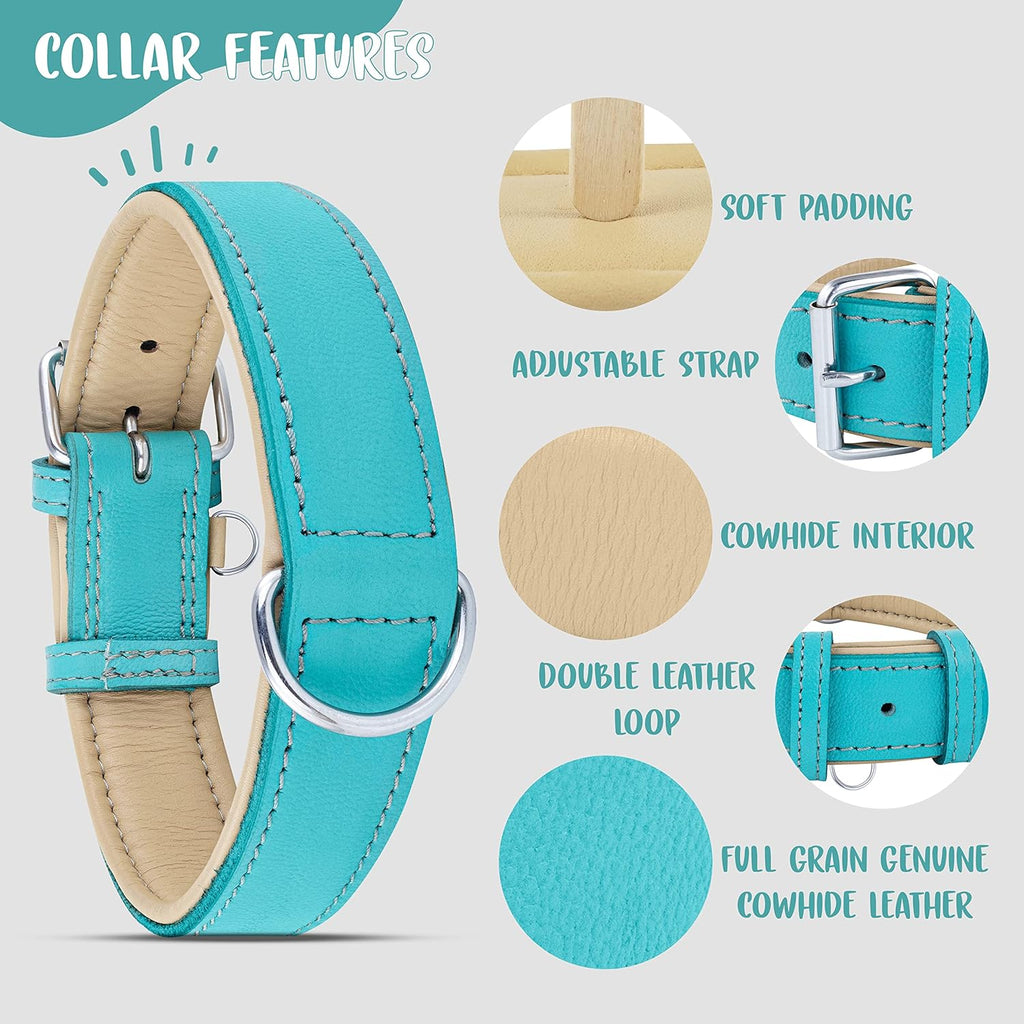 Riparo Dog Collars for Medium Dogs, Genuine Leather Dog Collar, Medium Dog Collar (M: 1" Wide for 13.5”-17.5” Neck, Aqua)