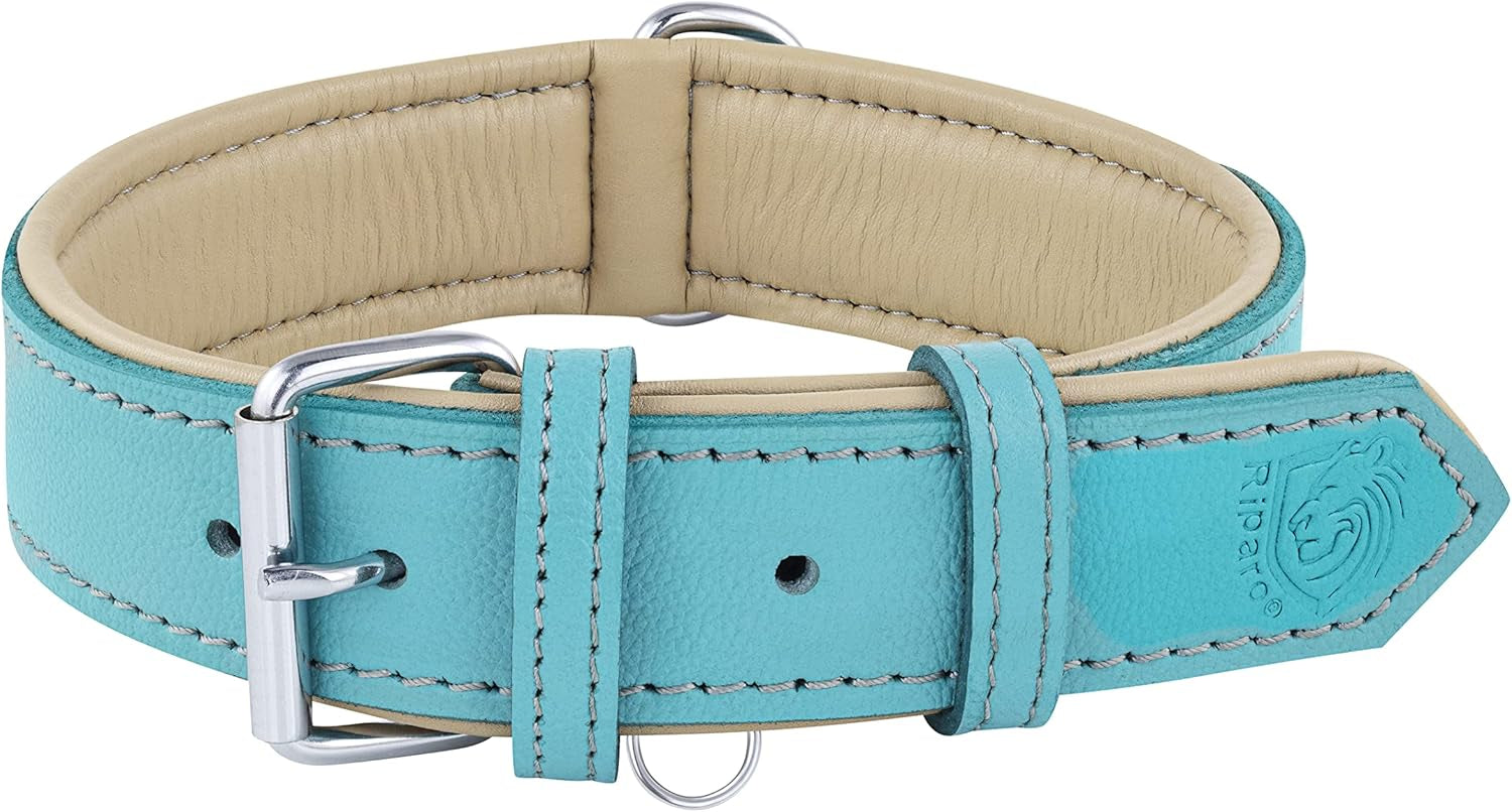 Riparo Dog Collars for Medium Dogs, Genuine Leather Dog Collar, Medium Dog Collar (M: 1" Wide for 13.5”-17.5” Neck, Aqua)