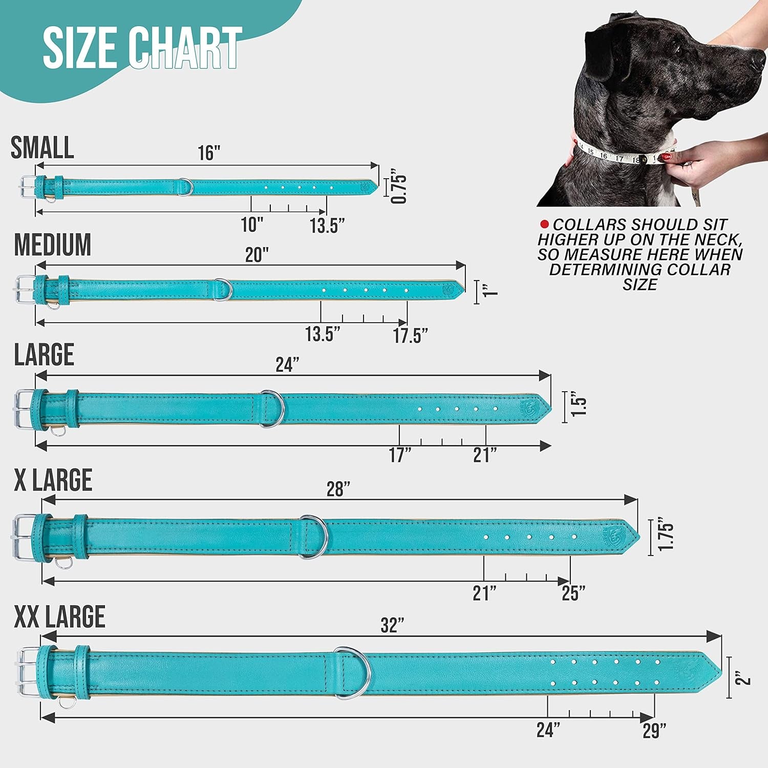 Riparo Dog Collars for Medium Dogs, Genuine Leather Dog Collar, Medium Dog Collar (M: 1" Wide for 13.5”-17.5” Neck, Aqua)